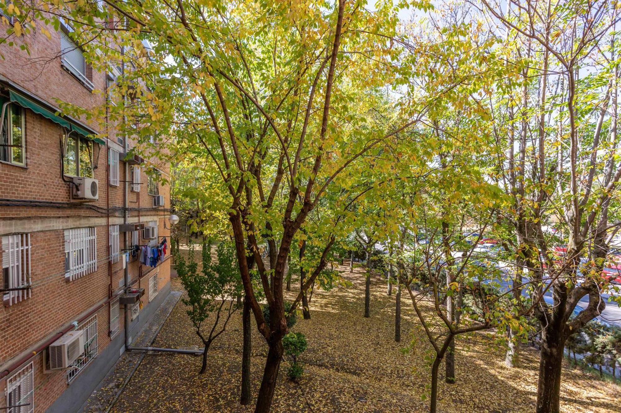 Apartamento 3 Habs Madrid Az10 Exterior foto